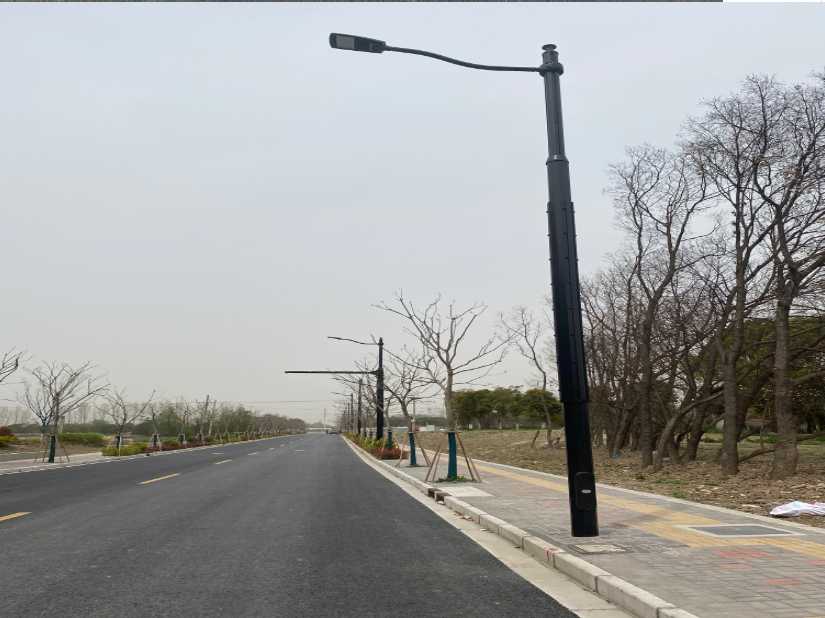 双台子区上海综合杆 太阳能路灯工程